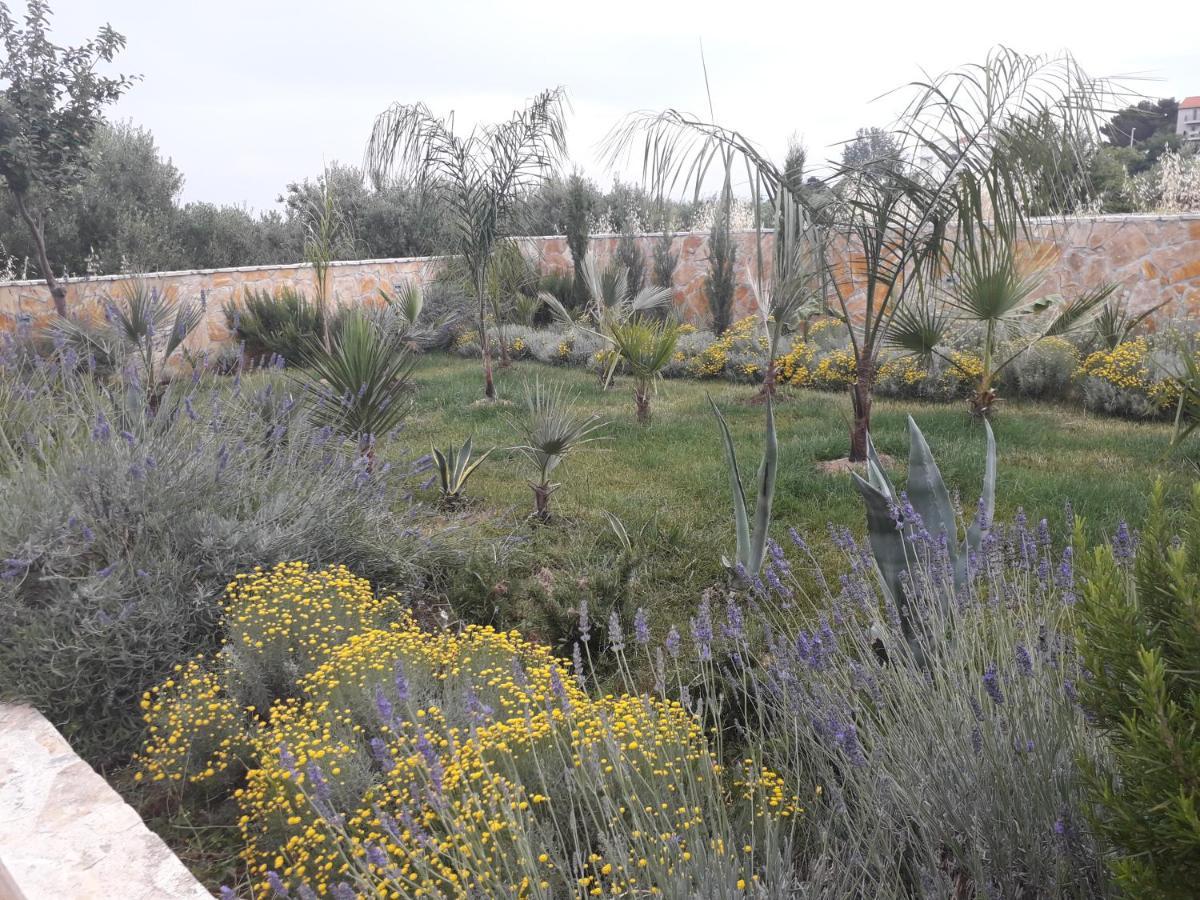 Palm Paradise Stobreč Zewnętrze zdjęcie